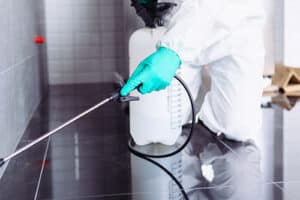 مكافحة الحشرات 