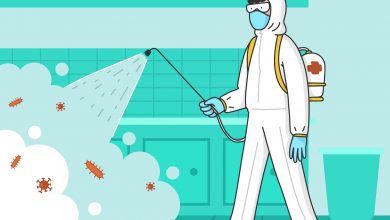 طرق مكافحة حشرات فى الرياض