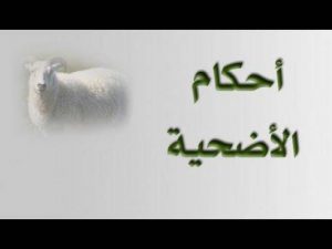 تنفيذ غرامة 10,000 جنيه عقوبة ذبح الأضاحي في الأماكن العامة