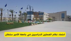 جامعة الأمير