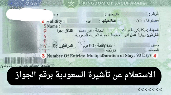 تأشيرة زيارة السعودية