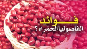فوائد الفاصوليا الحمراء