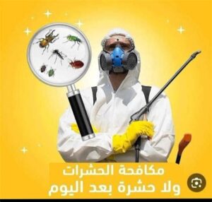 شركة مكافحة حشرات بينبع