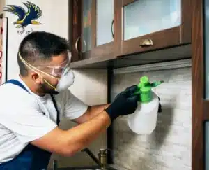 شركة مكافحة حشرات بالدمام